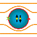 IEEE Council on Superconductivity IEEE Council on Superconductivity